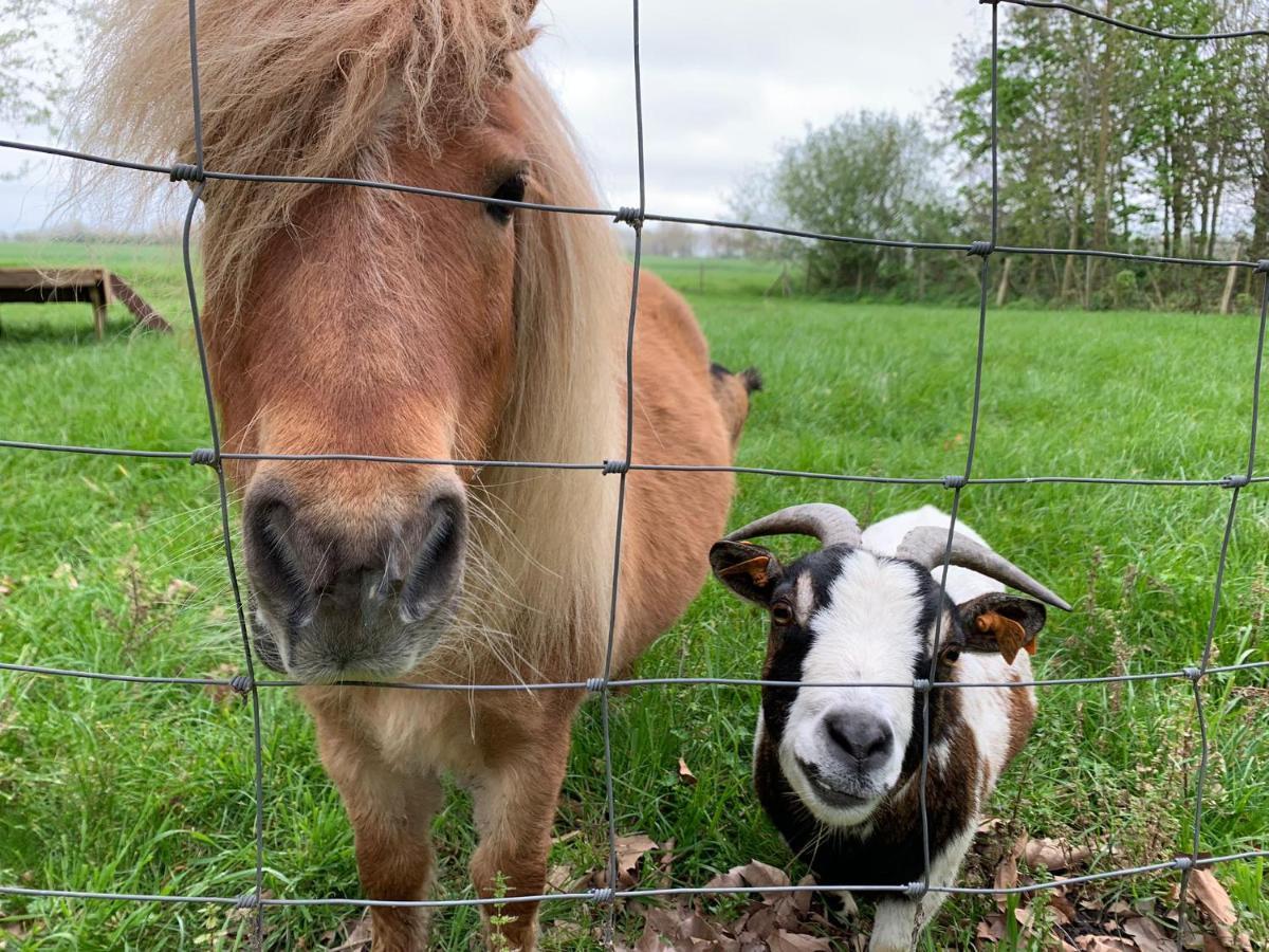 De Scheure, Charmant Vakantiehuisje Midden In De Natuur Alveringem Bagian luar foto