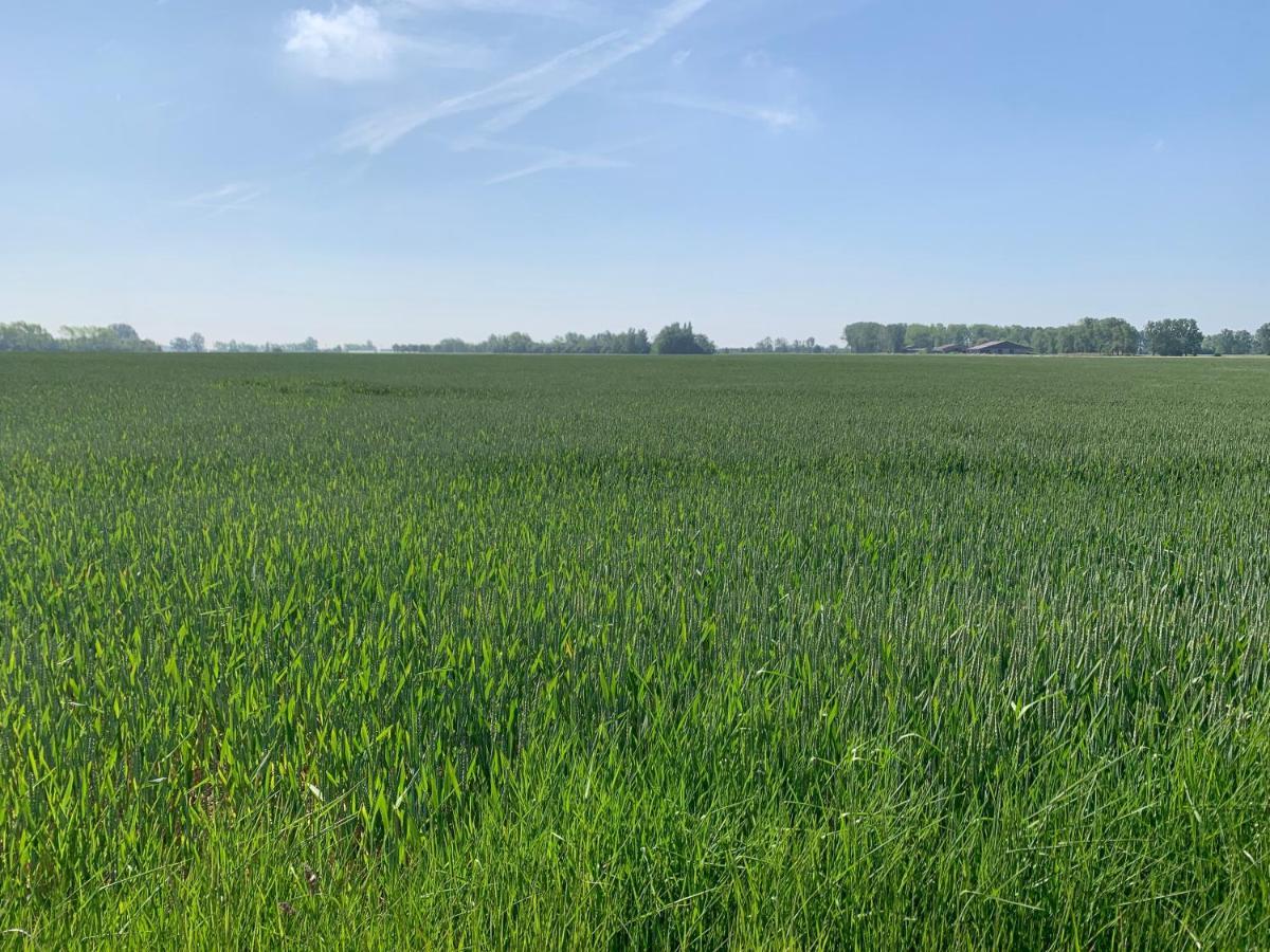 De Scheure, Charmant Vakantiehuisje Midden In De Natuur Alveringem Bagian luar foto